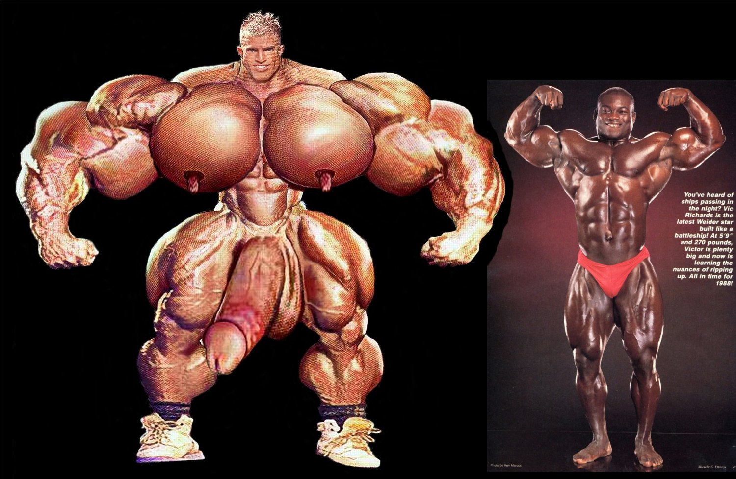 Nude Bodybuilder Morphs Free Download Nude Photo Gallery.
