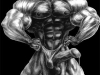 morph_1052