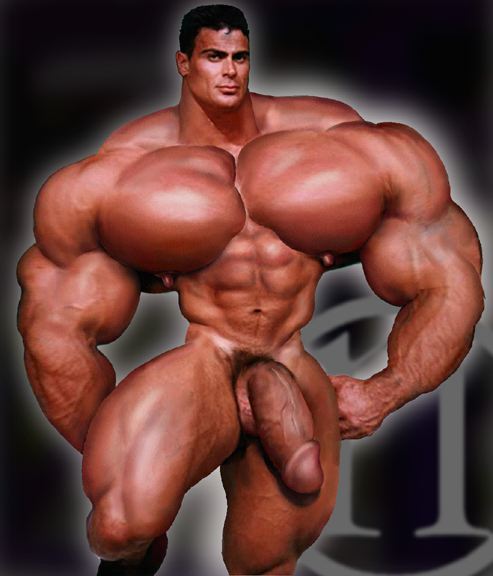 Muscle Morph Gay 12