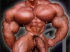 morph_1030